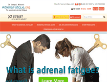 Tablet Screenshot of adrenalfatigue.org